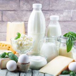 Dairy and Cream Dairy and Cream